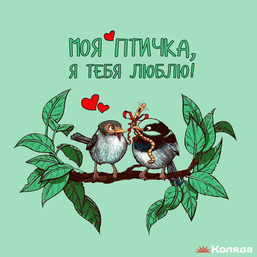 любимой птичке
