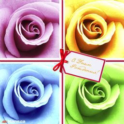 Roses