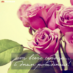 Roses shabby