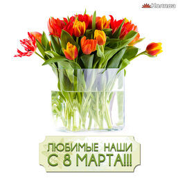 тюльпаны